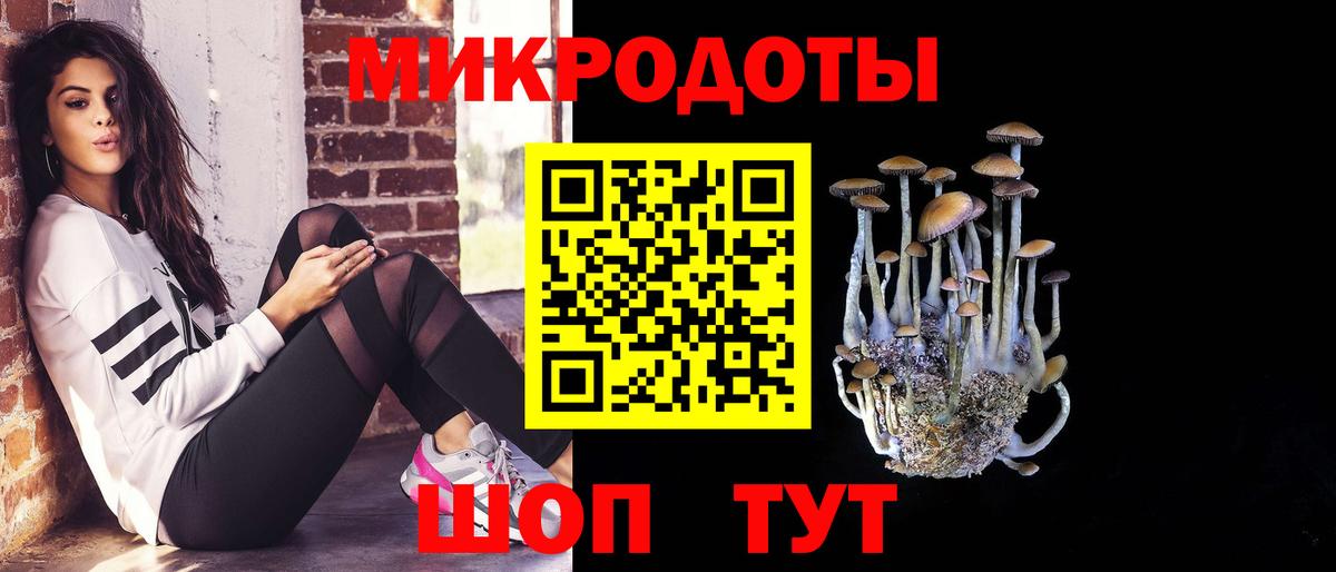 Куйбышев  Псилоцибиновые грибы MAGIC MUSHROOMS  Вход с VPN  Галлюциногенные грибы прущие грибы 