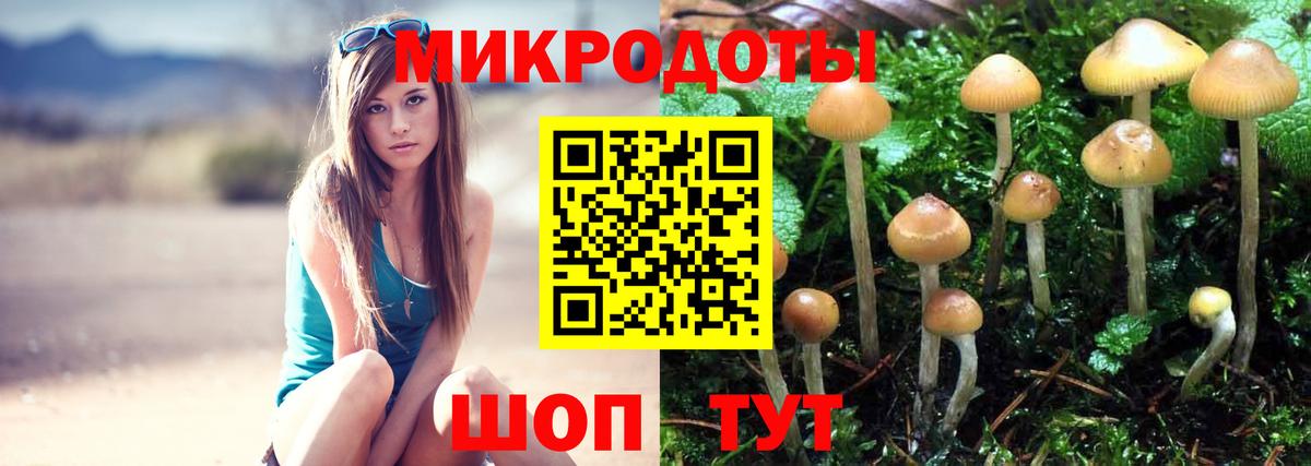 Галлюциногенные грибы Psilocybe Куйбышев